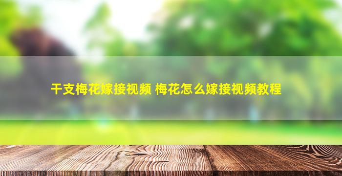 干支梅花嫁接视频 梅花怎么嫁接视频教程